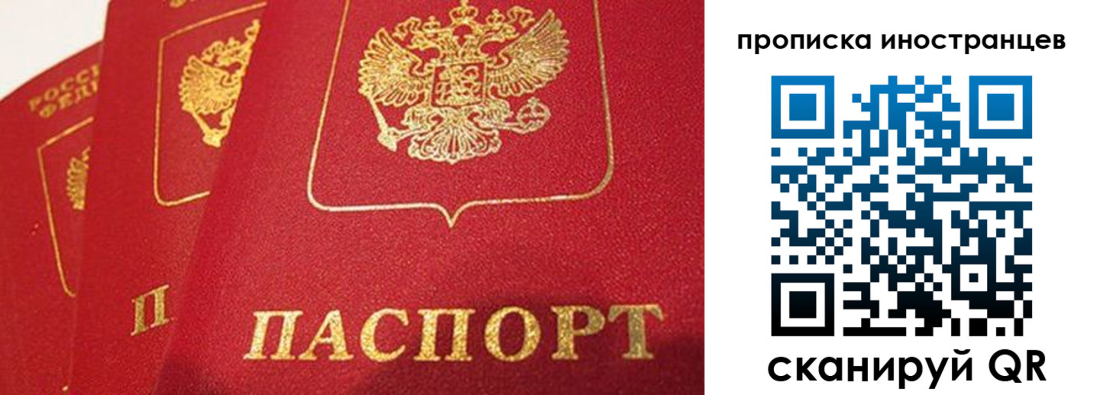 прописка поиск в Галиче